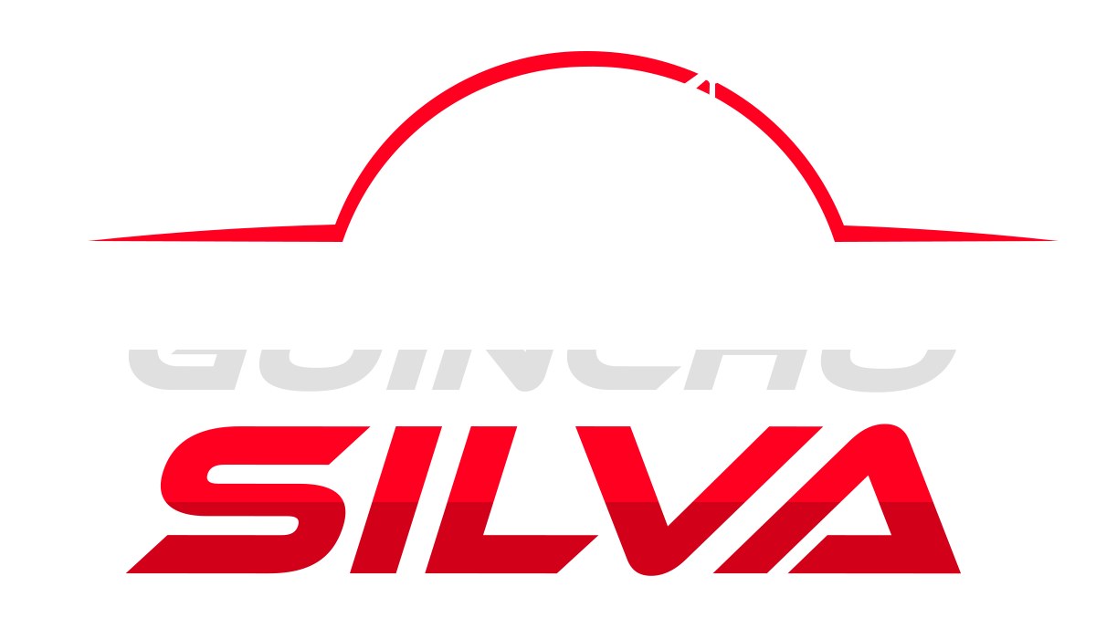 Logo Guincho Silva